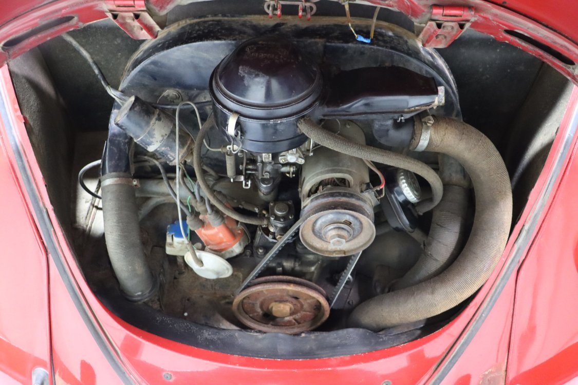 Volkswagen Beetle - Be35 8 - BE35