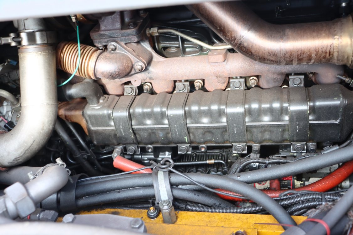 Paus PGS26.5 - Cl55 10 - CL55